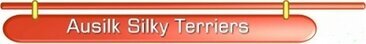 Ausilk Silk Terrier Header