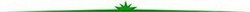 Green - Seperator 60