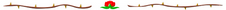 Roses bare-84