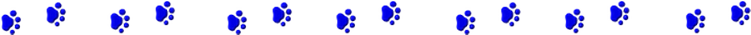 dog tatze blue -80