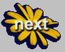 Next-sunflower