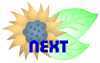 Sunny next button Sunny next button-0